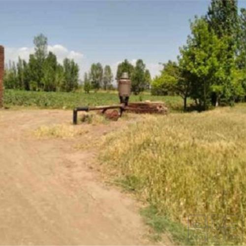 زمین زراعی - انتقال مالکیت قطعی
