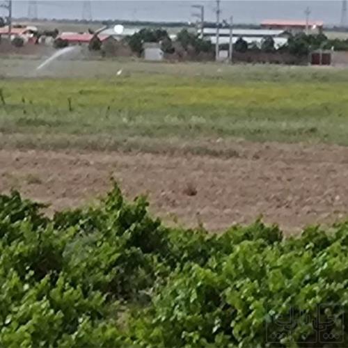 زمین زراعی - انتقال مالکیت قطعی - ملکی