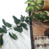 خانه و  آشپزخانه - باغبانی - گل و گیاه طبیعی