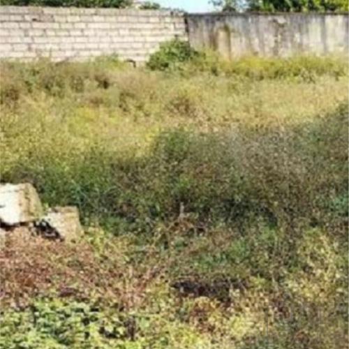 زمین مسکونی - انتقال مالکیت قطعی