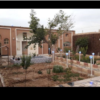 باغ و باغچه - اجاره
