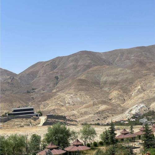 زمین مسکونی - انتقال مالکیت قطعی - مشاع