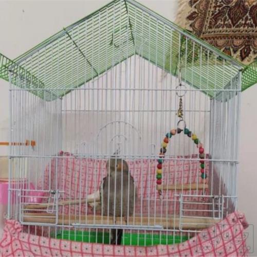 خانه و  آشپزخانه - حیوانات - پرندگان
