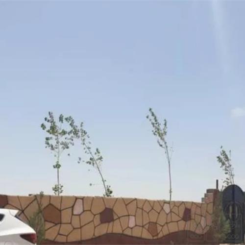 زمین زراعی