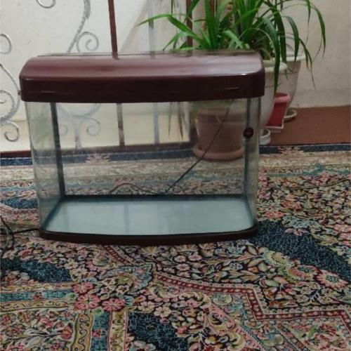 خانه و  آشپزخانه - دکوراتیو - مجسمه و تندیس