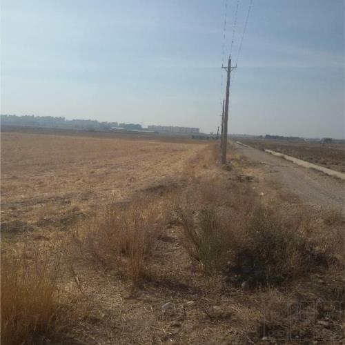 زمین زراعی - انتقال مالکیت قطعی - مشاع