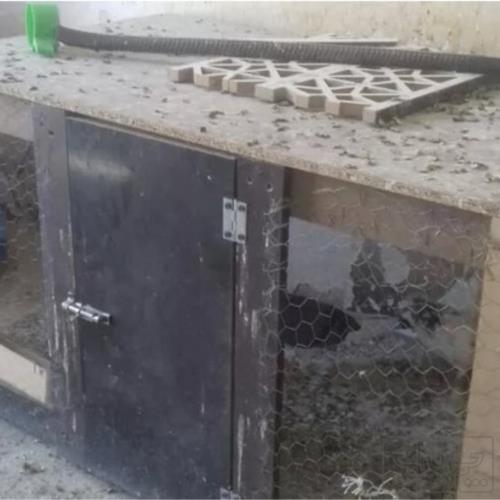 خانه و  آشپزخانه - حیوانات - پرندگان