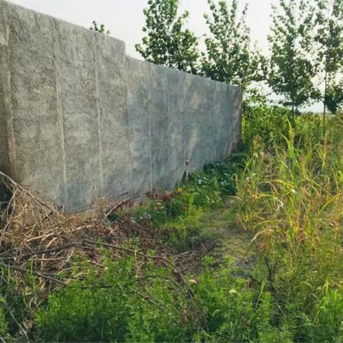 زمین زراعی