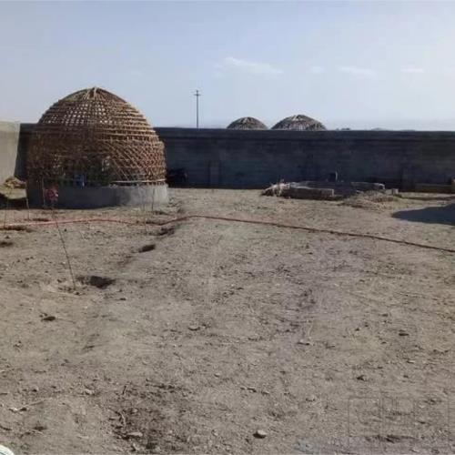 باغ و باغچه