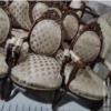 خانه و  آشپزخانه - دکوراتیو - مبلمان خانگی