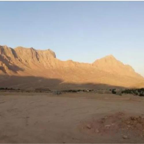 زمین زراعی