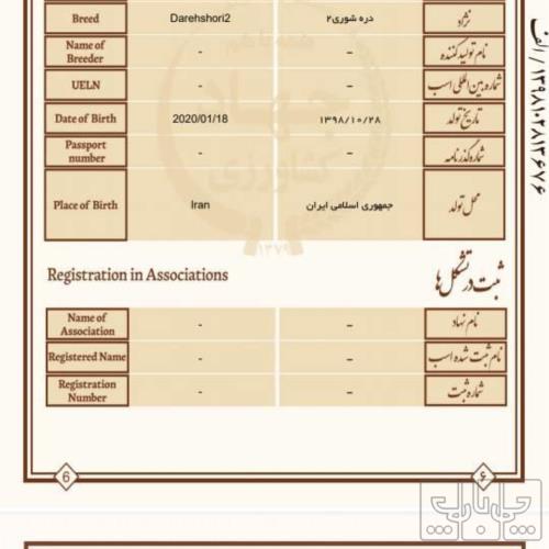 خانه و  آشپزخانه - حیوانات - پستانداران