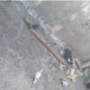 خانه و  آشپزخانه - حیوانات - پرندگان