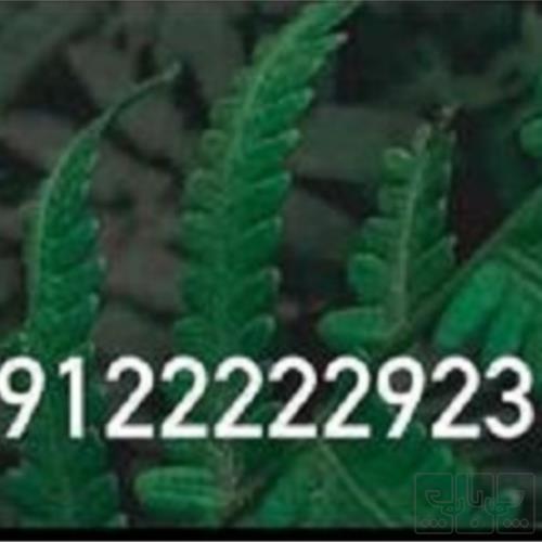 کالای دیجیتال - موبایل - سیم کارت
