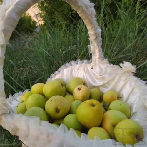 خانه ویلایی - انتقال مالکیت قطعی - ملکی