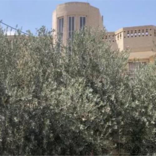 آپارتمان