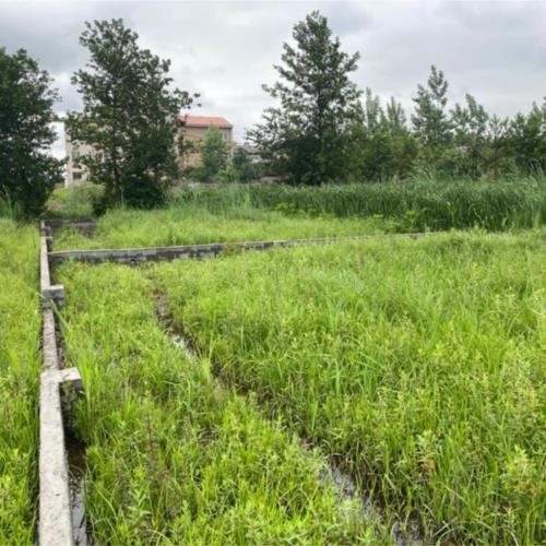 باغ و باغچه - انتقال مالکیت قطعی - ملکی