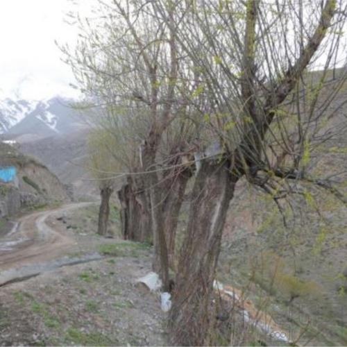 زمین مسکونی - انتقال مالکیت قطعی