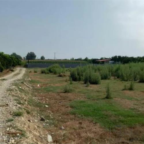 زمین مسکونی - انتقال مالکیت قطعی - ملکی