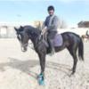 خانه و  آشپزخانه - حیوانات - پستانداران