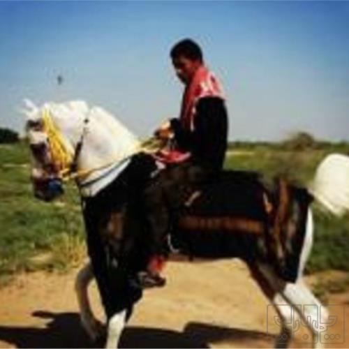 خانه و  آشپزخانه - حیوانات - پستانداران
