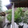خانه ویلایی - انتقال مالکیت قطعی