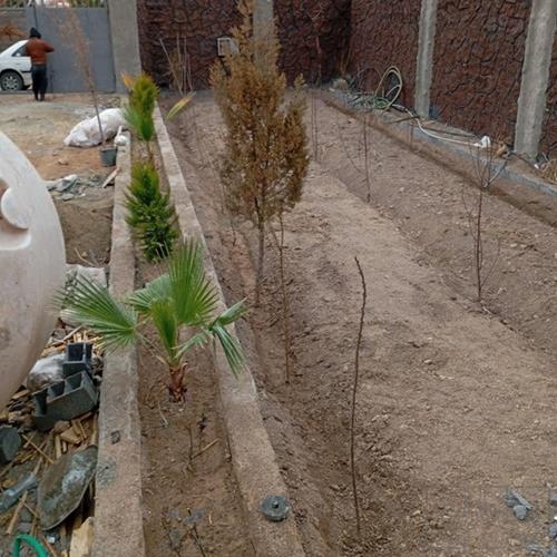 زمین زراعی - انتقال مالکیت قطعی