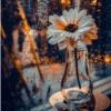 خانه و  آشپزخانه - صوتی تصویری - تلویزیون