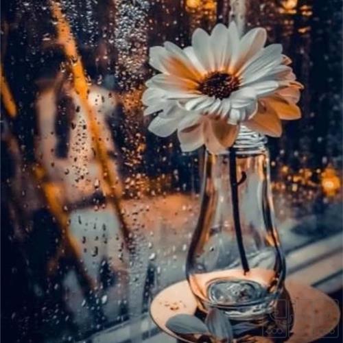 خانه و  آشپزخانه - صوتی تصویری - تلویزیون