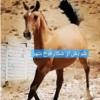 خانه و  آشپزخانه - حیوانات - پستانداران
