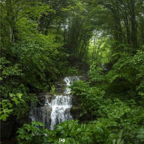 باغ و باغچه - انتقال مالکیت قطعی - ملکی