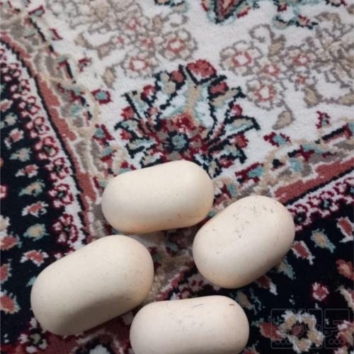 آرایشی، بهداشتی و سلامت - زیورآلات - سنگ های قیمتی و نیمه قیمتی