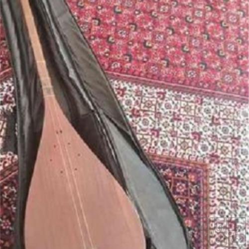 کتاب و لوازم تحریر و هنر - آلات موسیقی - سازهای زهی