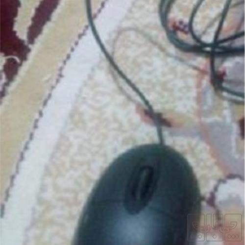 کالای دیجیتال - کامپیوتر و تجهیزات جانبی - ماوس 