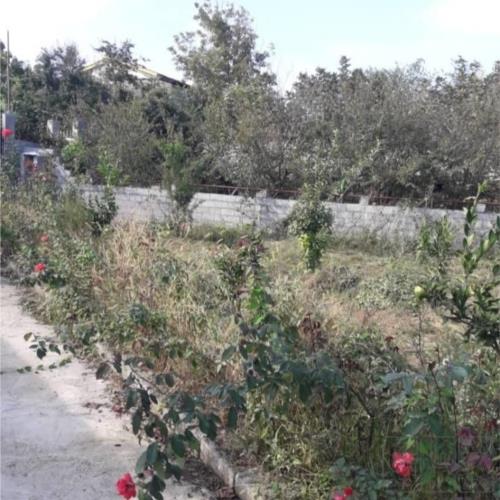 زمین مسکونی - انتقال مالکیت قطعی - ملکی
