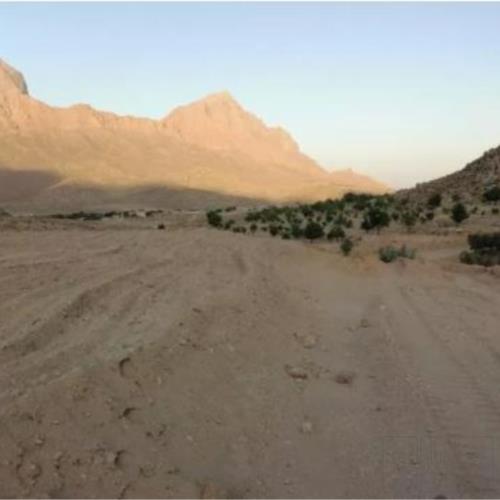 زمین زراعی