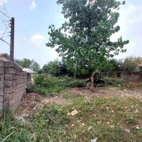 زمین مسکونی - انتقال مالکیت قطعی - قولنامه ای