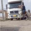 خانه و  آشپزخانه - حیوانات - پستانداران