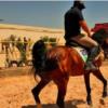 خانه و  آشپزخانه - حیوانات - پستانداران