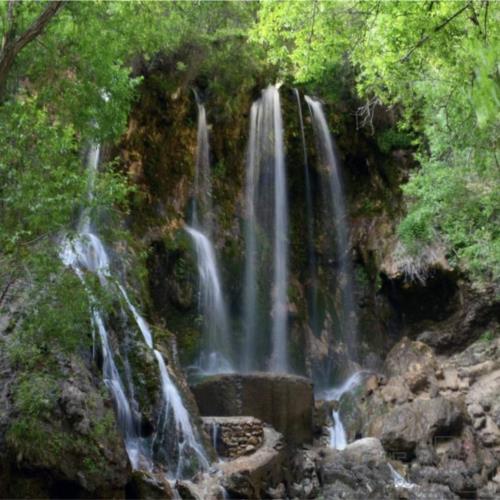 زمین مسکونی - انتقال مالکیت قطعی - مشاع