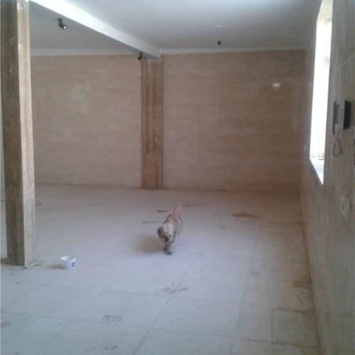کارخانه - انتقال مالکیت قطعی - ملکی