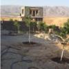 باغ و باغچه - انتقال مالکیت قطعی - وکالتی