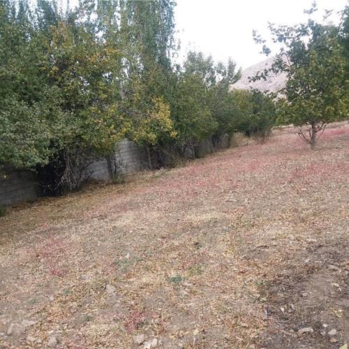 زمین مسکونی - انتقال مالکیت قطعی - قولنامه ای