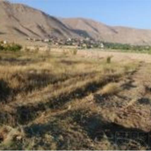 زمین مسکونی - انتقال مالکیت قطعی