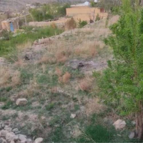 زمین زراعی