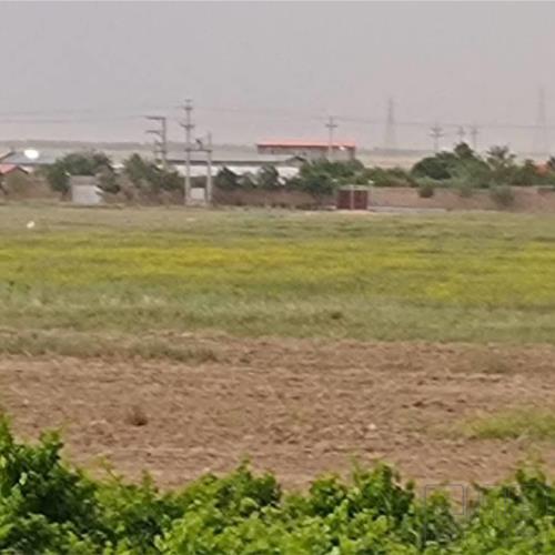 زمین زراعی - انتقال مالکیت قطعی - ملکی