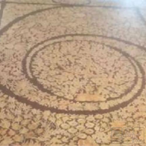خانه و  آشپزخانه - فرش