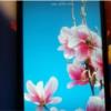 کالای دیجیتال - موبایل - گوشی موبایل