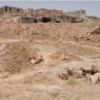 زمین مسکونی - انتقال مالکیت قطعی