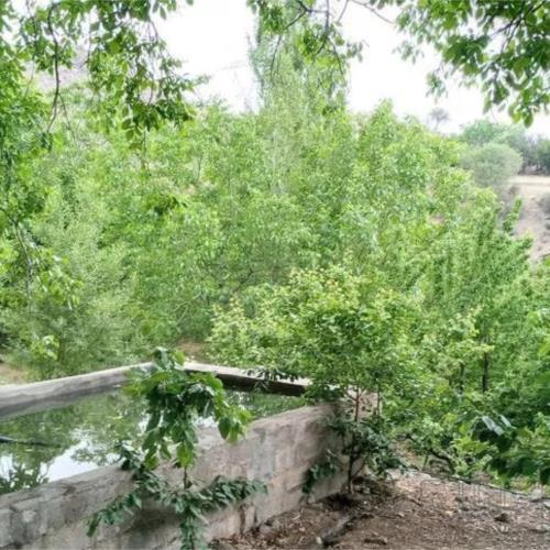 باغ و باغچه - انتقال مالکیت قطعی - ملکی
